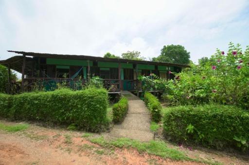Cabinas Vista Isla Del Cano Corcovado Drake Bay Exterior foto